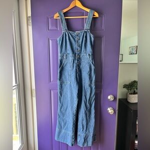 Aerie American Eagle Kick Flare Blue Button Up Denim Jean Overalls Medium